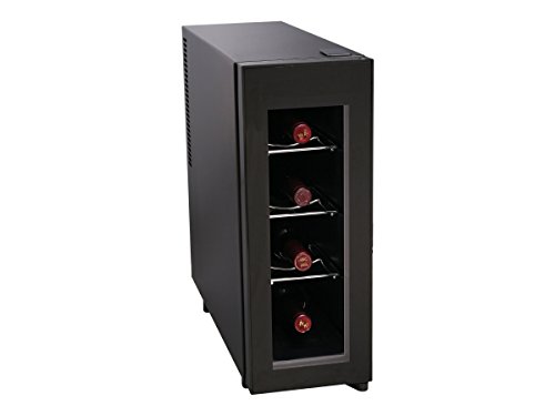 IGLOO FRW041 4-Bottle Wine Cooler, Black