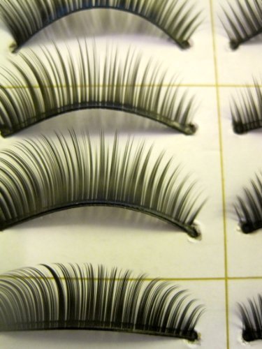 DragonPad 10 Pairs Handmade Natural Soft False Eyelashes Fake Eye Lash