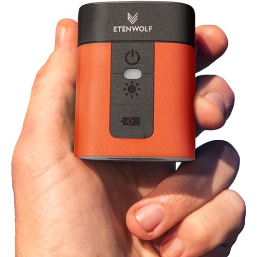 ETENWOLF AIR 3 Air Pump for Inflatables with 2600 mAh Battery & Camping Light, Ultra-Fast and Mini Electric Air Pump, Inflate Deflate for Air Mattress, Pool Floats, Vacuum Storage Bags, Vivid Orange