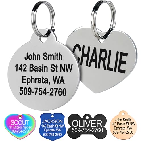 GoTags Stainless Steel Pet ID Tags, Personalized Dog Tags and Cat Tags, up to 8 Lines of Custom Text, Engraved on Both Sides, in Bone, Round, Heart, Bowtie and More (Round, Small (Pack of 1))