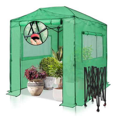 EAGLE PEAK Instant Pop-up Greenhouse, Indoor Outdoor Plant Gardening Green House, Roll-Up Zipper Doors and Side Windows, Walk in 8x6 ft, PE Cover, Green/Clear