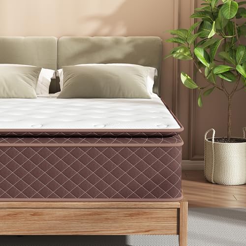 Swbvs Queen Mattress, 12 Inch Pillow Top Queen Size Mattress – Plush Comfort with Pocketed Coils & Pressure Relief – Ideal for Side Sleepers, Motion Isolation & Back Pain Relief,Medium Firm