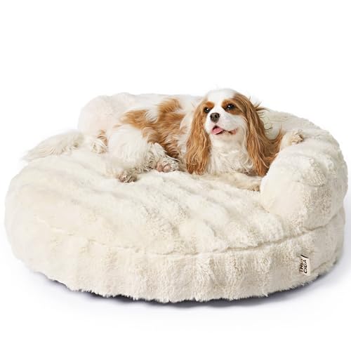 EHEYCIGA Medium Dog Bed and Large Cat Couch – Fluffy Faux Rabbit Fur Pet Sofa for Small and Medium Dogs, Washable Removable Cover, Waterproof and Non-Slip, 30 Inch, Cream