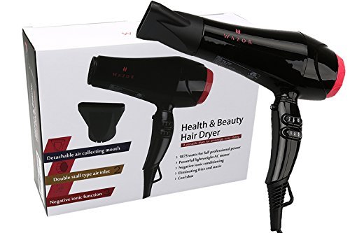 Mini Ionic Hair Dryer for Travel and RV 1000W Lightweight Low Noise Blow Dryer for kids Compact Low Noise Dryer with Concentrator, 2 Speed Settings