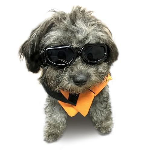 Enjoying Dog Goggles Small Breed, UV Protection Dog Sunglasses Small Breed, Driving Puppy Eye Protection, Windproof Dustproof Anti-Fog, Breathable, Adjustable Straps, Black