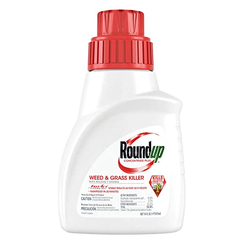 Roundup Weed & Grass Killer Concentrate Plus, 16 oz.