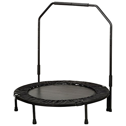Sunny Health & Fitness 40' Foldable Trampoline with Bar