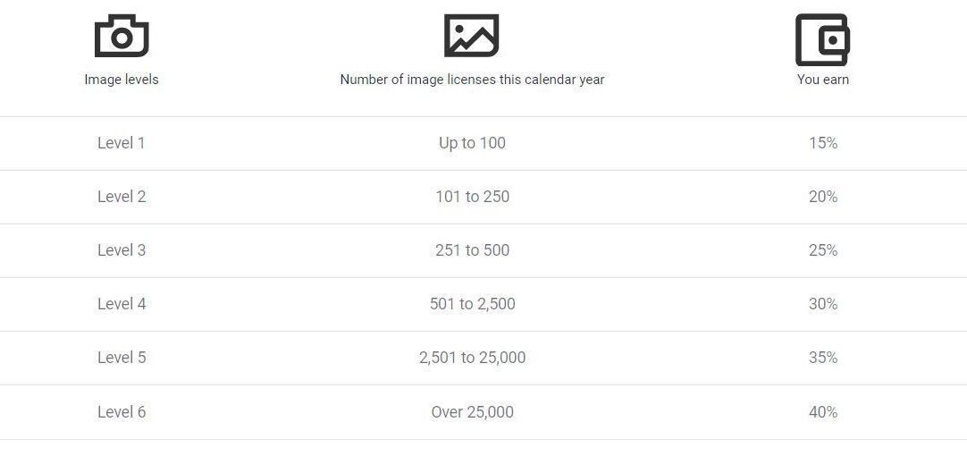 Earnings breakdown for photos, illustrations, and vectors